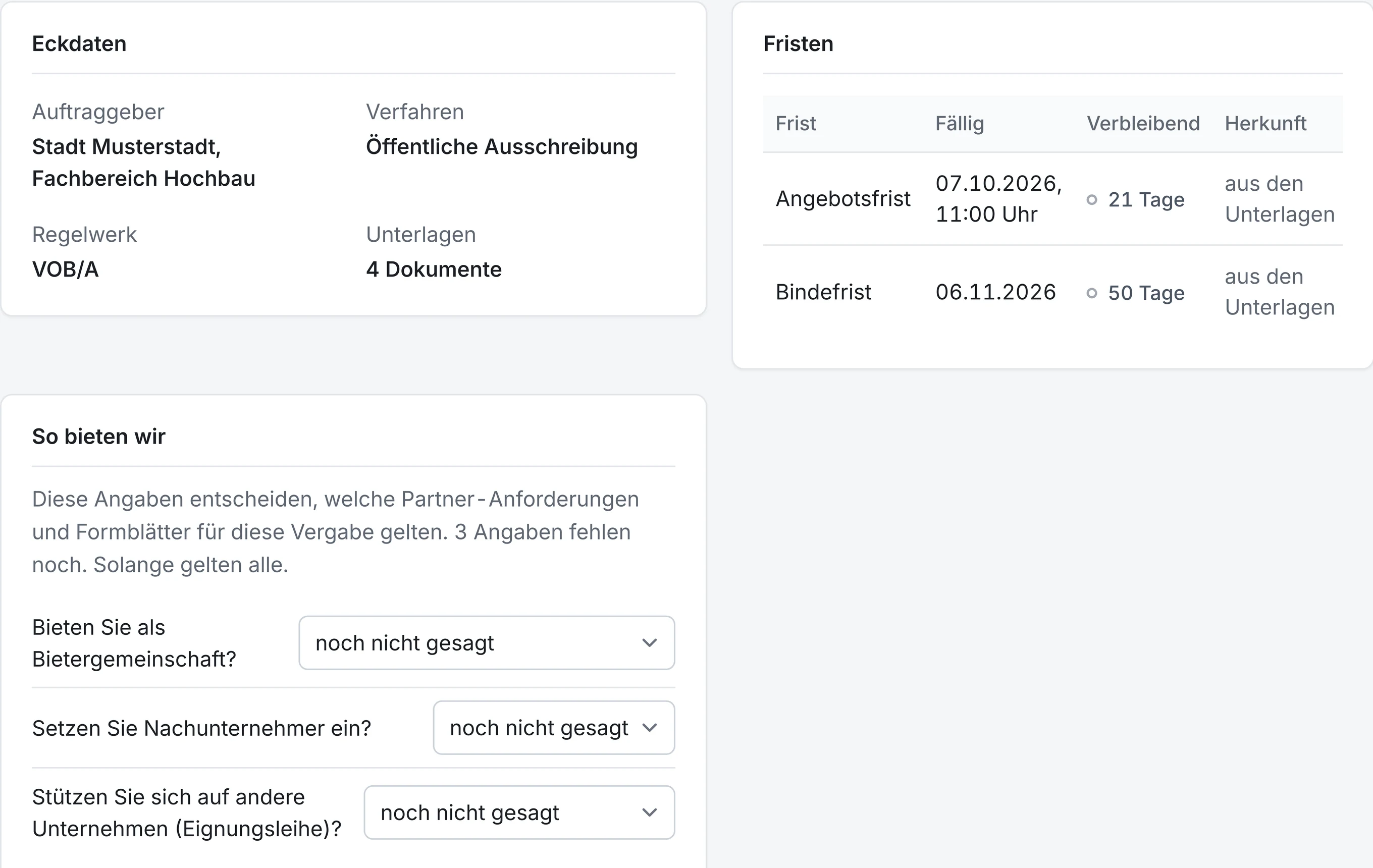 Bericht einer Vergabe mit Eckdaten, Fristen und Kennzahlen